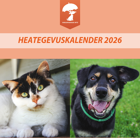 hooandja_indekspilt.png